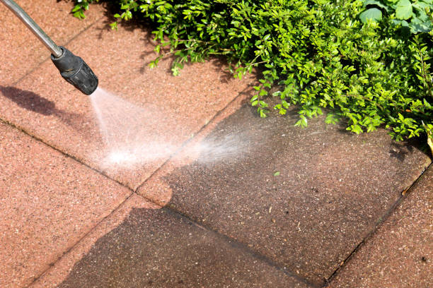 Best Fleet & Vehicle Pressure Washing in Pumpkin Center, NC